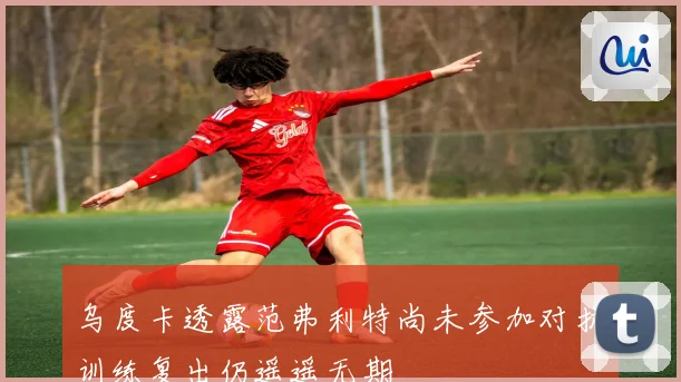 乌度卡透露范弗利特尚未参加对抗训练复出仍遥遥无期