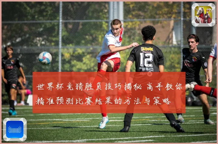 世界杯竞猜胜负技巧揭秘 高手教你精准预测比赛结果的方法与策略